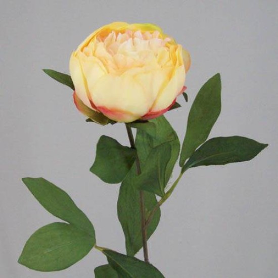 Peony Flowers Apricot 60cm Artificial Flowers